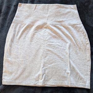 Aritzia skirt